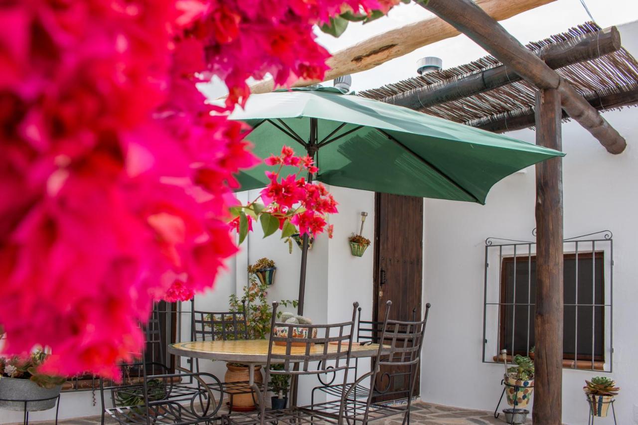 Villa Aurora Nijar Parque Natural Cabo Gata Kültér fotó