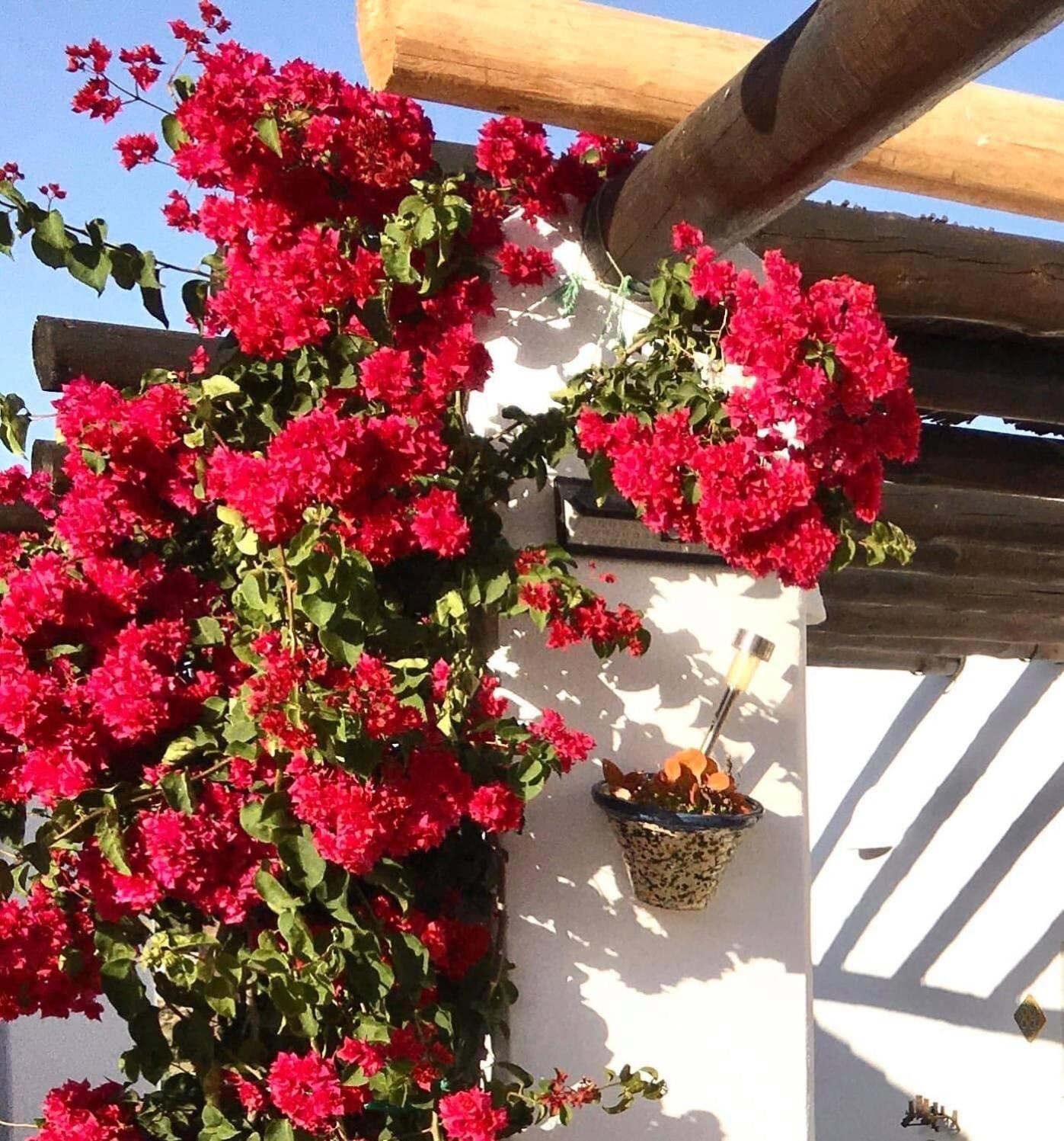 Villa Aurora Nijar Parque Natural Cabo Gata Kültér fotó